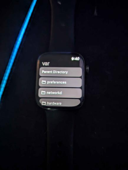 Unsandboxed File Browser on an Apple Watch Series 7 (arm64e) running watchOS 8.1.1
